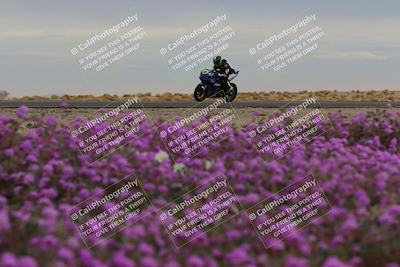 media/Jan-14-2023-SoCal Trackdays (Sat) [[497694156f]]/Turn 14 Exit Bloomig (145pm)/